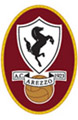 arezzo calcio