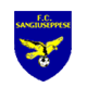 Sporting Neapolis calcio