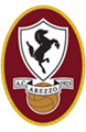 Arezzo calcio