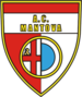 Mantova calcio